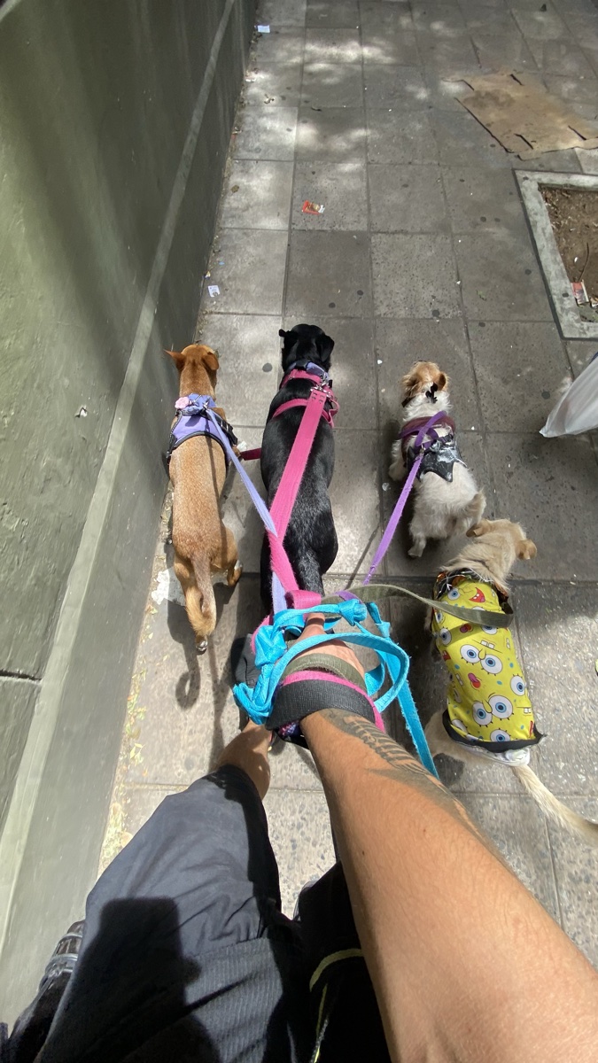 Paseo