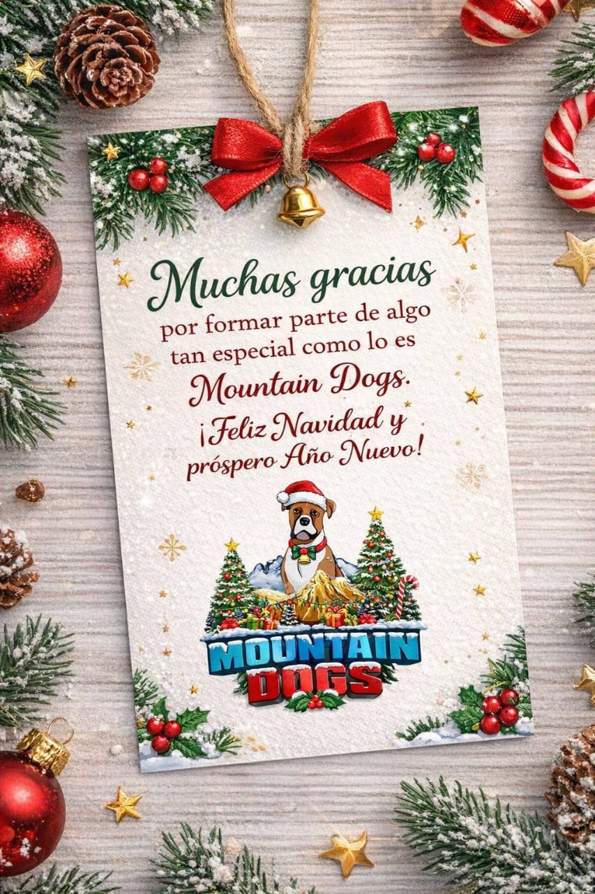 Sesión de Navidad